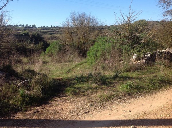 terreno agricolo in vendita a Noto