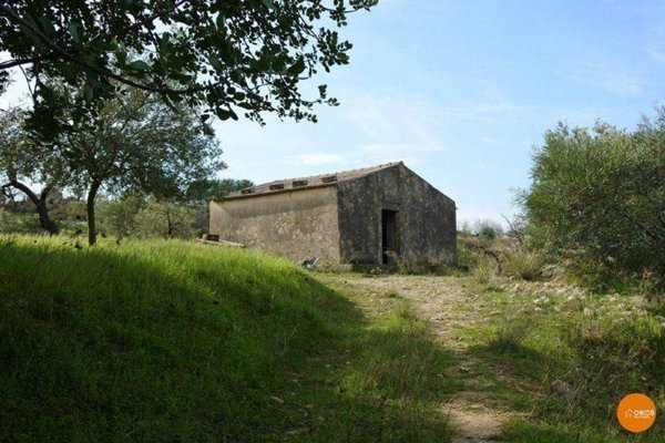 terreno agricolo in vendita a Noto