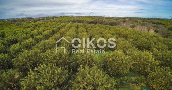 terreno agricolo in vendita a Noto in zona Lido di Noto