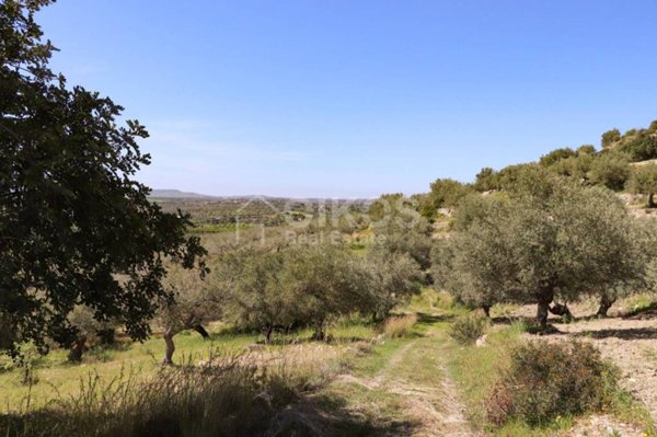 terreno agricolo in vendita a Noto