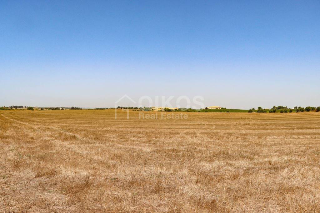 terreno agricolo in vendita a Noto