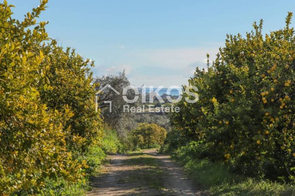 terreno agricolo in vendita a Noto in zona Lido di Noto