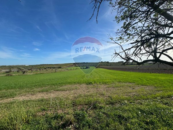 terreno agricolo in vendita a Noto