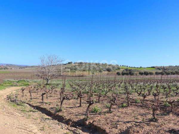 negozio in vendita a Noto
