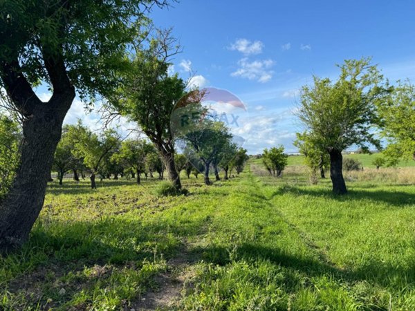 appartamento in vendita a Noto in zona Vendicari