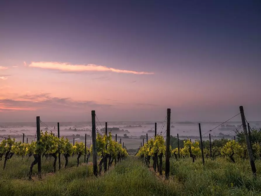 azienda agricola in vendita a Noto