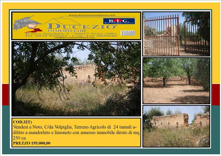 terreno agricolo in vendita a Noto