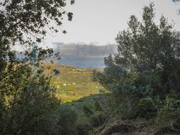 terreno agricolo in vendita a Noto