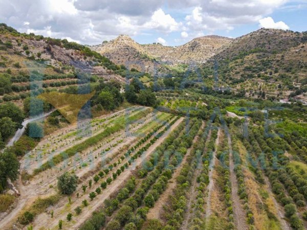 terreno agricolo in vendita a Noto
