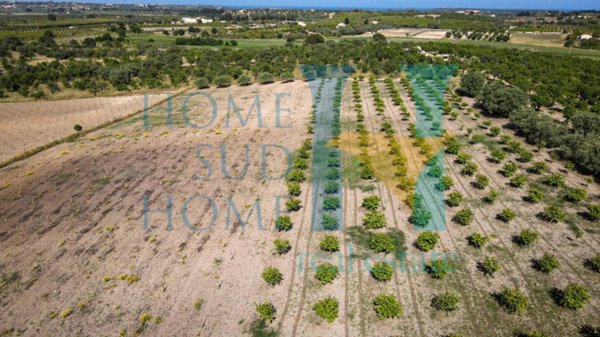 terreno agricolo in vendita a Noto