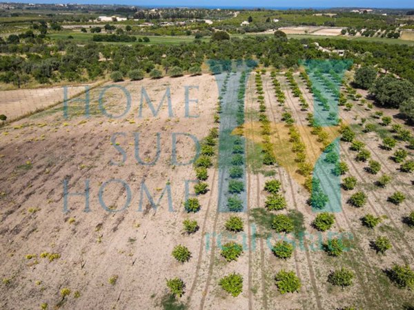 terreno agricolo in vendita a Noto