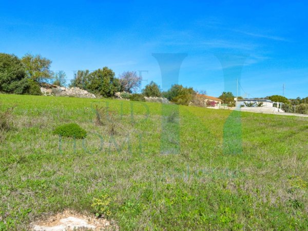 terreno agricolo in vendita a Noto
