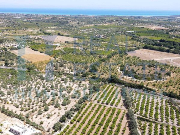 terreno agricolo in vendita a Noto