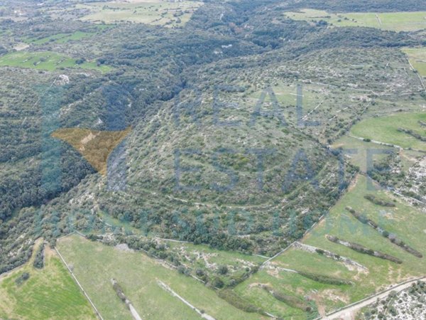 terreno agricolo in vendita a Noto