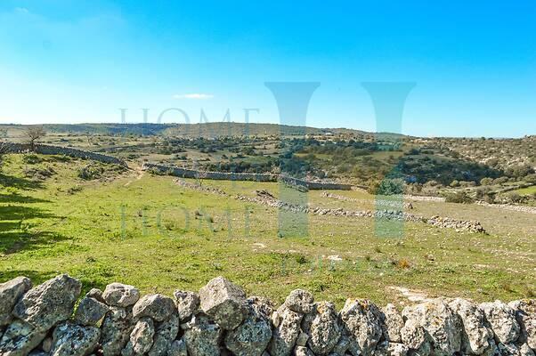 negozio in vendita a Noto