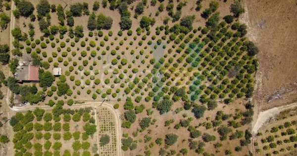 casa indipendente in vendita a Noto in zona Vendicari