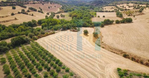casa indipendente in vendita a Noto
