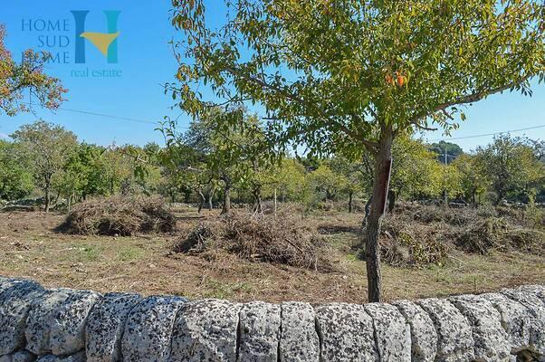 negozio in vendita a Noto in zona Vendicari