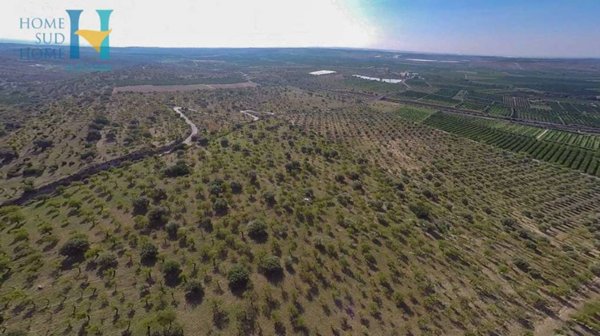 terreno agricolo in vendita a Noto in zona Vendicari