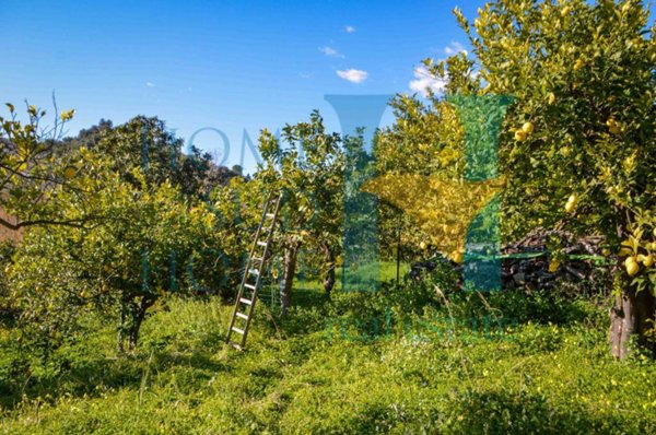 terreno agricolo in vendita a Noto