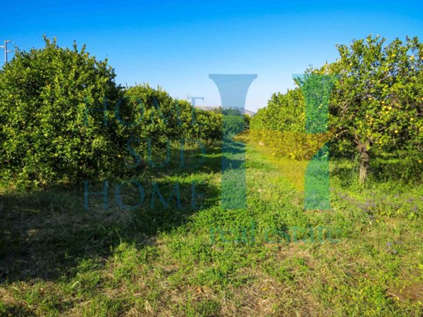 terreno agricolo in vendita a Noto