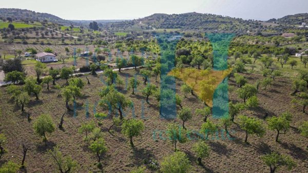 terreno agricolo in vendita a Noto