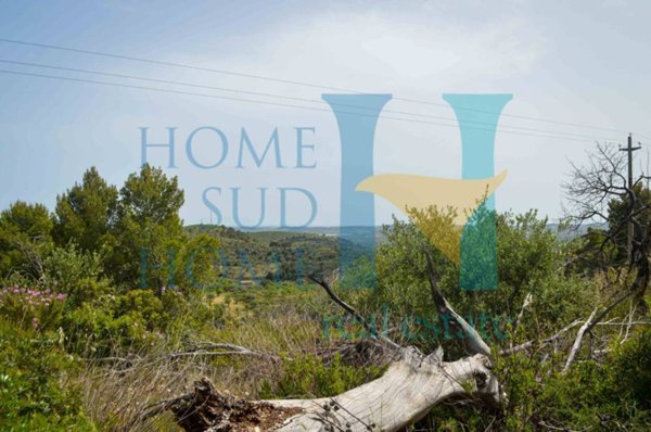 terreno agricolo in vendita a Noto