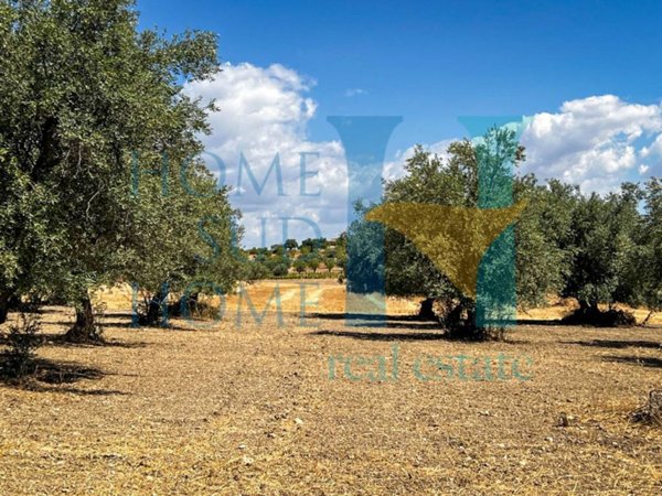 casa indipendente in vendita a Noto