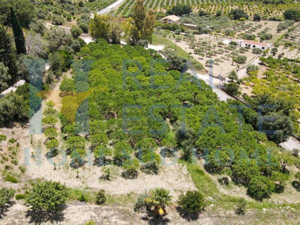 terreno agricolo in vendita a Noto
