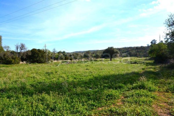 terreno agricolo in vendita a Noto