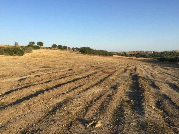 terreno agricolo in vendita a Noto