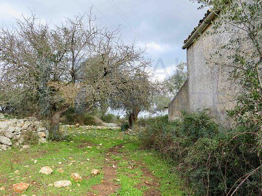 casa indipendente in vendita a Noto in zona Vendicari