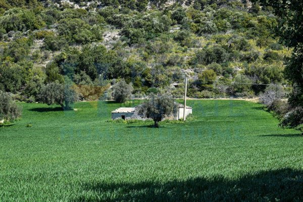 appartamento in vendita a Noto