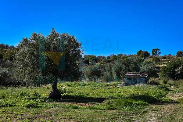 negozio in vendita a Noto in zona Vendicari
