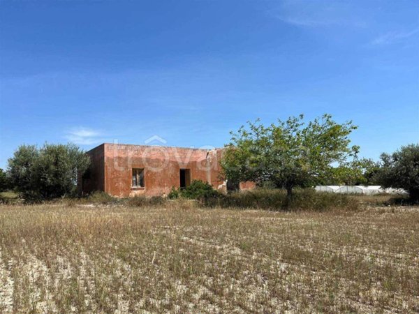 terreno agricolo in vendita a Noto in zona San Lorenzo
