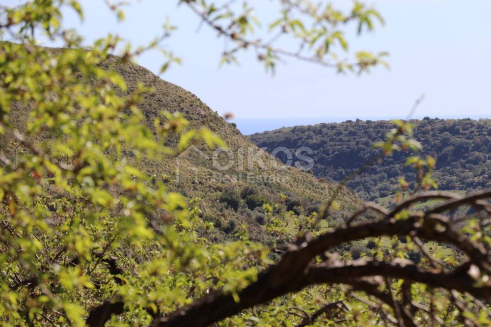 terreno agricolo in vendita a Noto in zona Lido di Noto