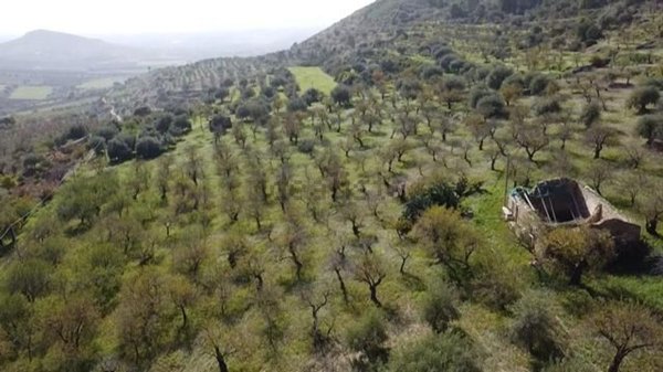appartamento in vendita a Noto