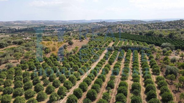 casa indipendente in vendita a Noto