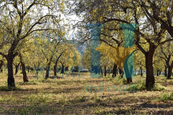 terreno agricolo in vendita a Noto in zona Vendicari