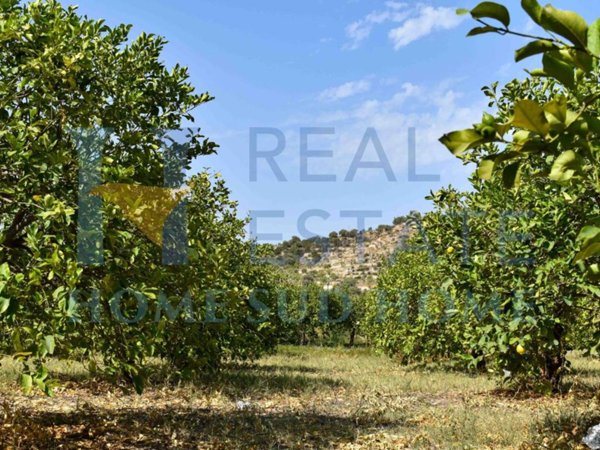terreno agricolo in vendita a Noto in zona Vendicari