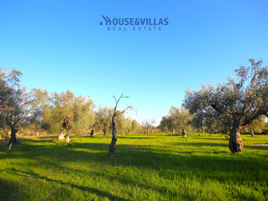 mansarda in vendita a Noto in zona Falconara