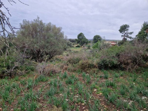 casa indipendente in vendita a Noto