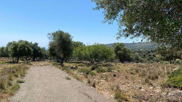 terreno agricolo in vendita a Noto