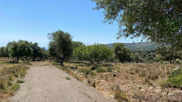 terreno agricolo in vendita a Noto