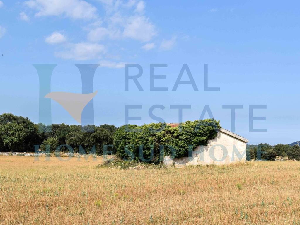 casa indipendente in vendita a Noto