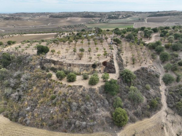 casa indipendente in vendita a Noto in zona Vendicari
