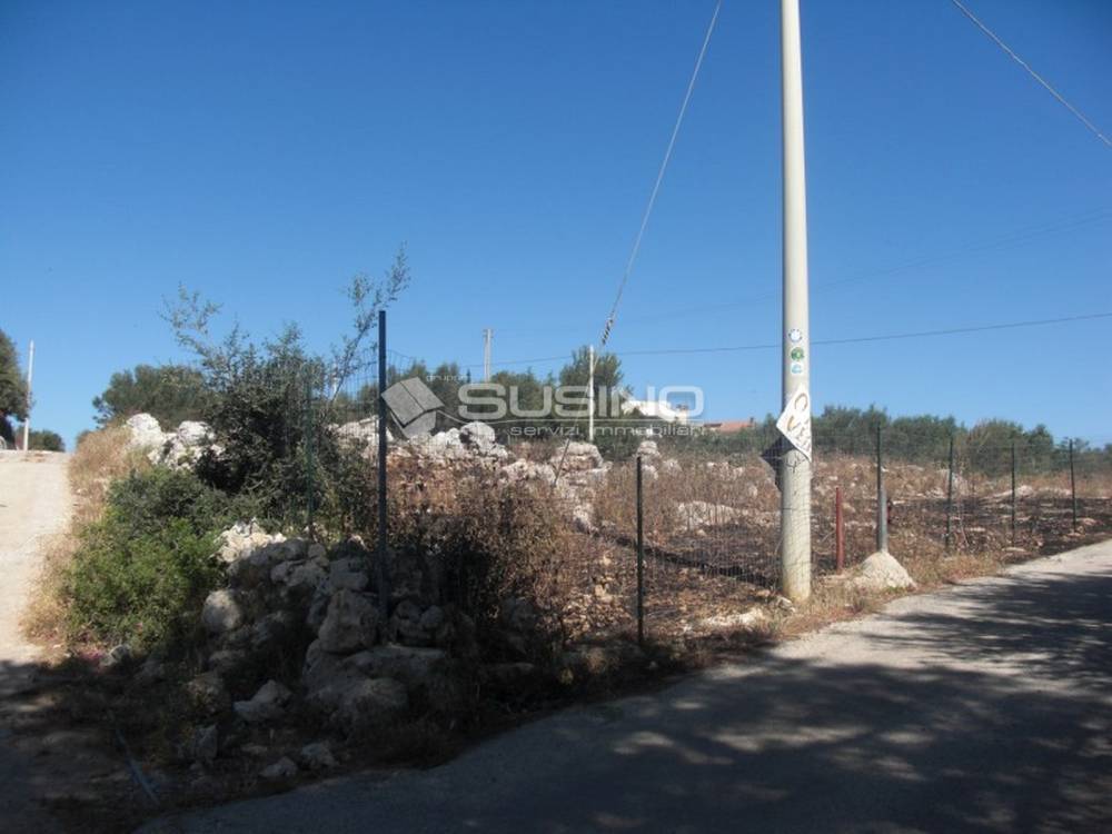 terreno agricolo in vendita a Noto
