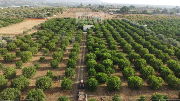 terreno agricolo in vendita a Noto in zona Lido di Noto