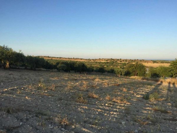 terreno agricolo in vendita a Noto in zona San Lorenzo