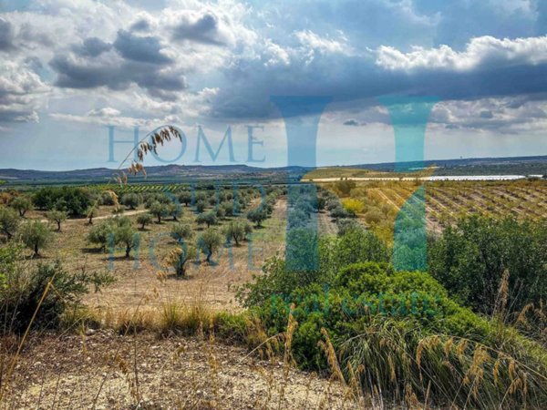 terreno agricolo in vendita a Noto